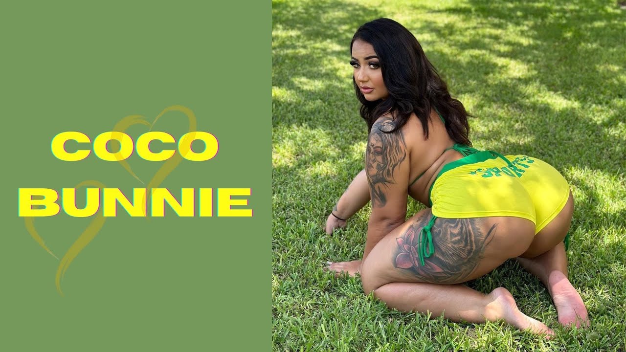 bernard le add coco bunnie videos image