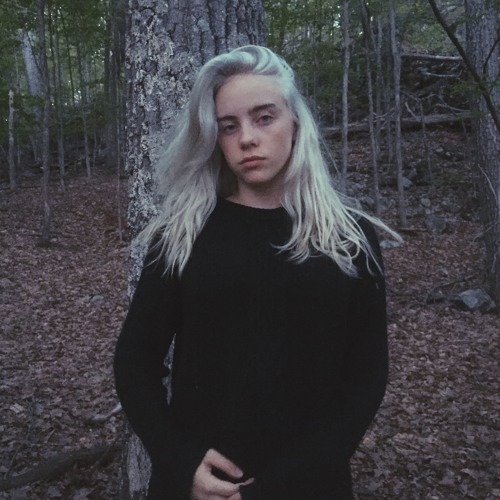 ansa noor add xxx billie eilish photo