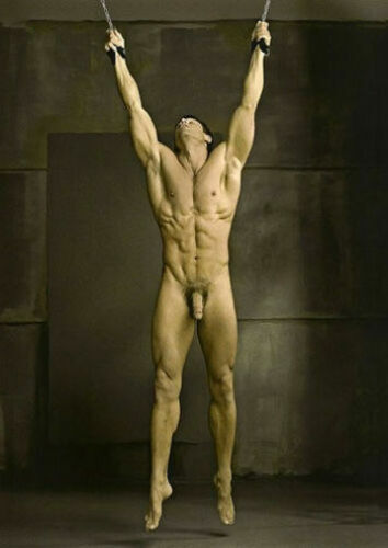 andrea heintz add naked muscular man image