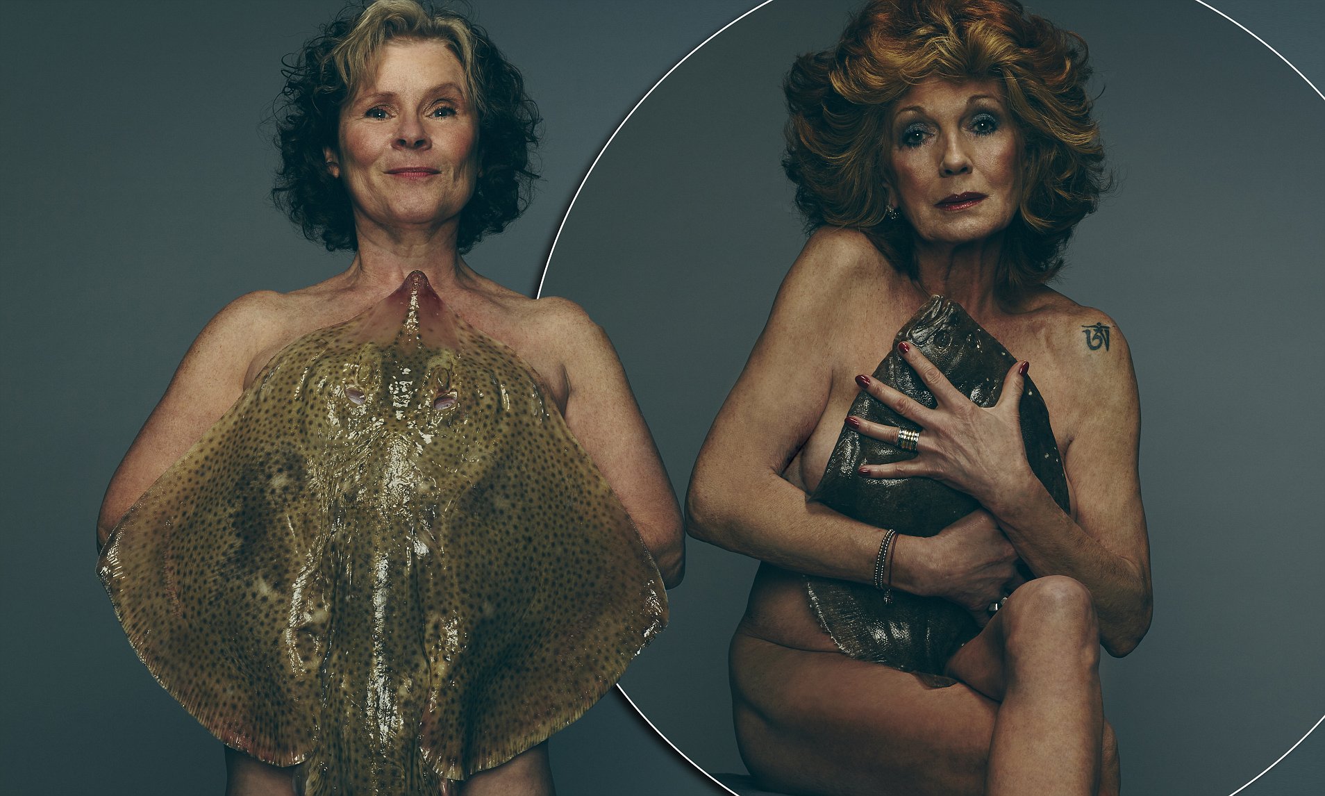 andie neal add imelda staunton nude photo