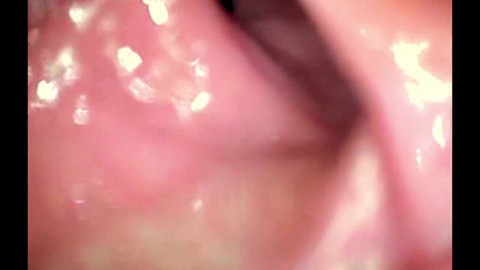 arya guna add anal vore pov photo