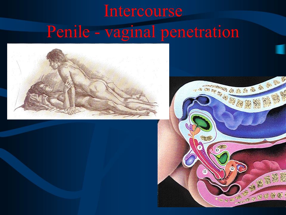 denton dailey add penile vaginal penetration photo