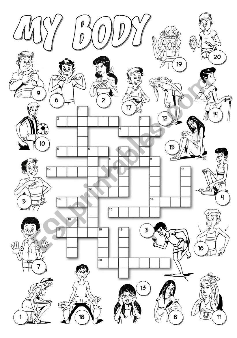 david ghi add our bodies need 20 crossword photo