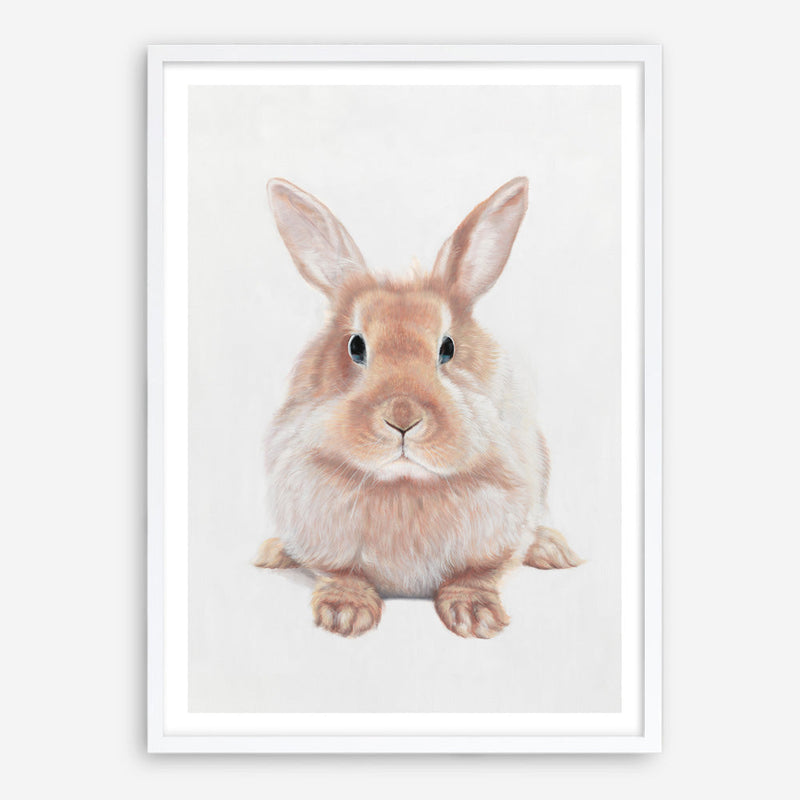 debbie braaten add sage rabbit bbc image