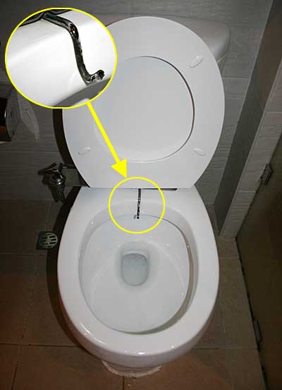 alvin dickson add hidden cam in toilet bowl image