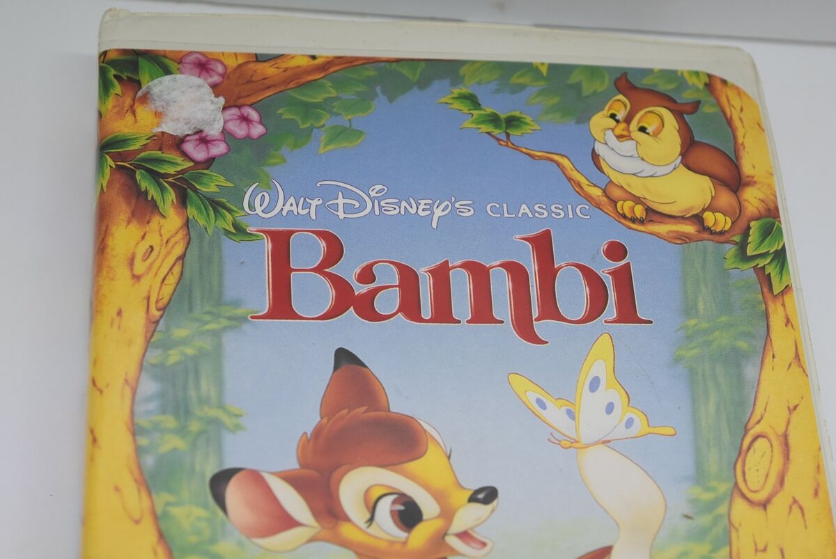 andre chucho ipince add bambi cummins image