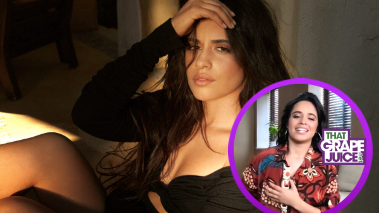 ashley n thompson add camilla cabello nip slip photo