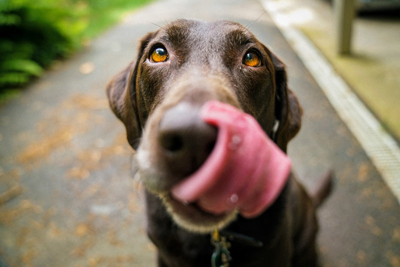 allen motley add big booty licking photo