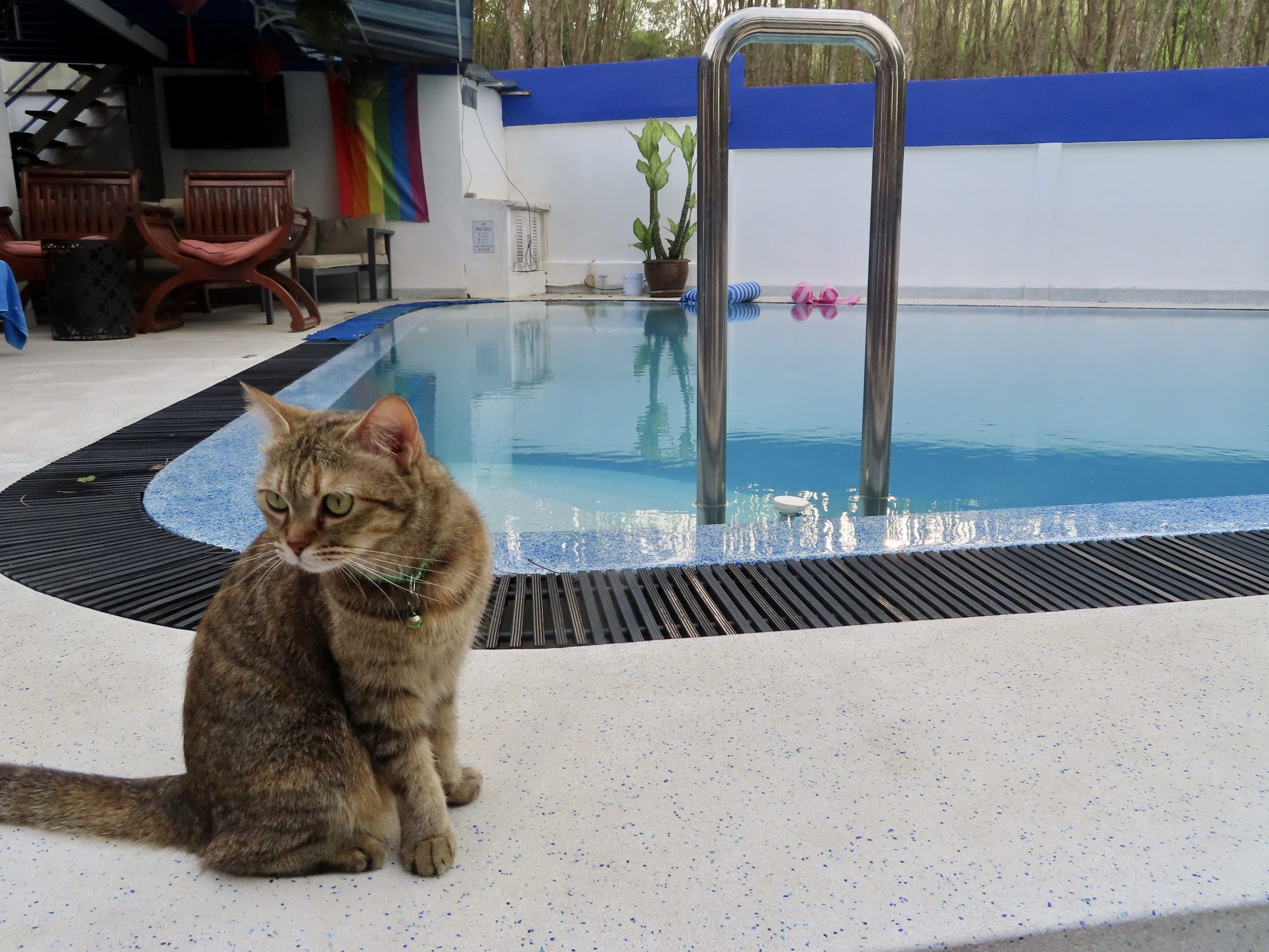 chris radbourne add poolside twinks photo