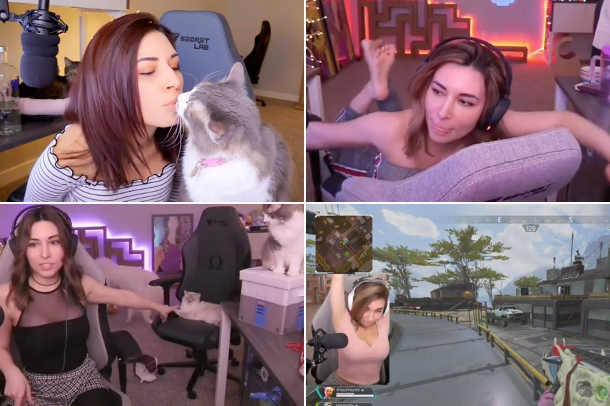 ba lu add alinity tits photo