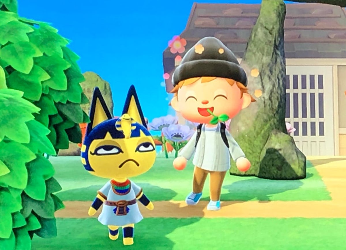 azola mevana add animal crossing ankha porn image