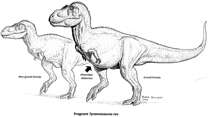 aj manahan add dinosour porn image