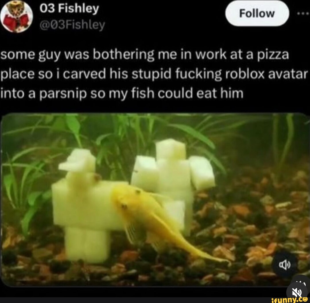 alfredo palacios add guy fucks fish photo