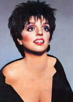 david m lee add liza minelli nude photo