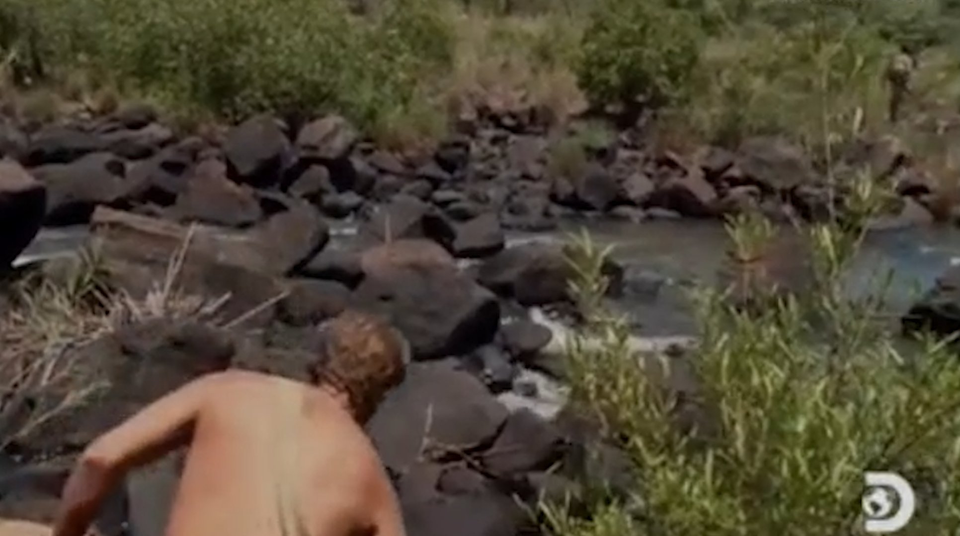 aaron brandt add naked and afraid butts photo