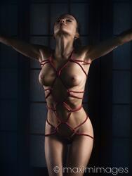 abby plaza add nude shibari photo