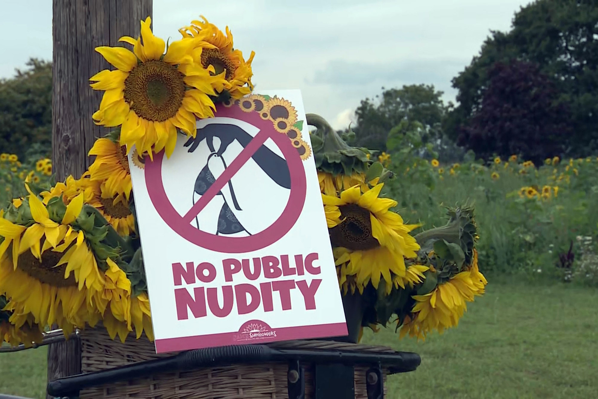 austin orth add public strip nude image