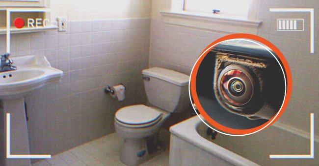 ashley damiano add secret toilet cam image