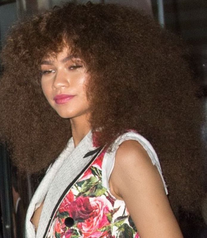 bruce broad add zendaya nipple photo